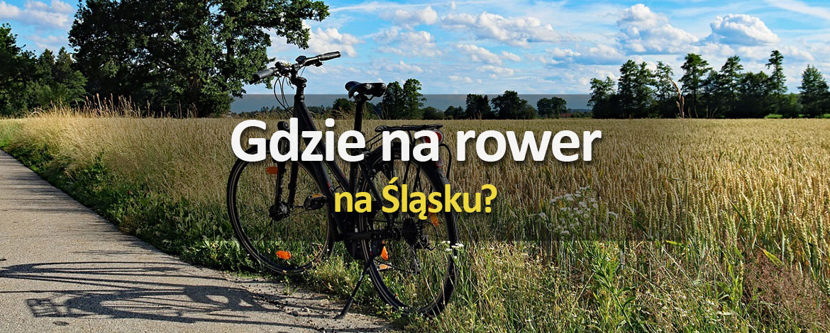 Gdzie na rower na Śląsku? Gazetka Lewiatan