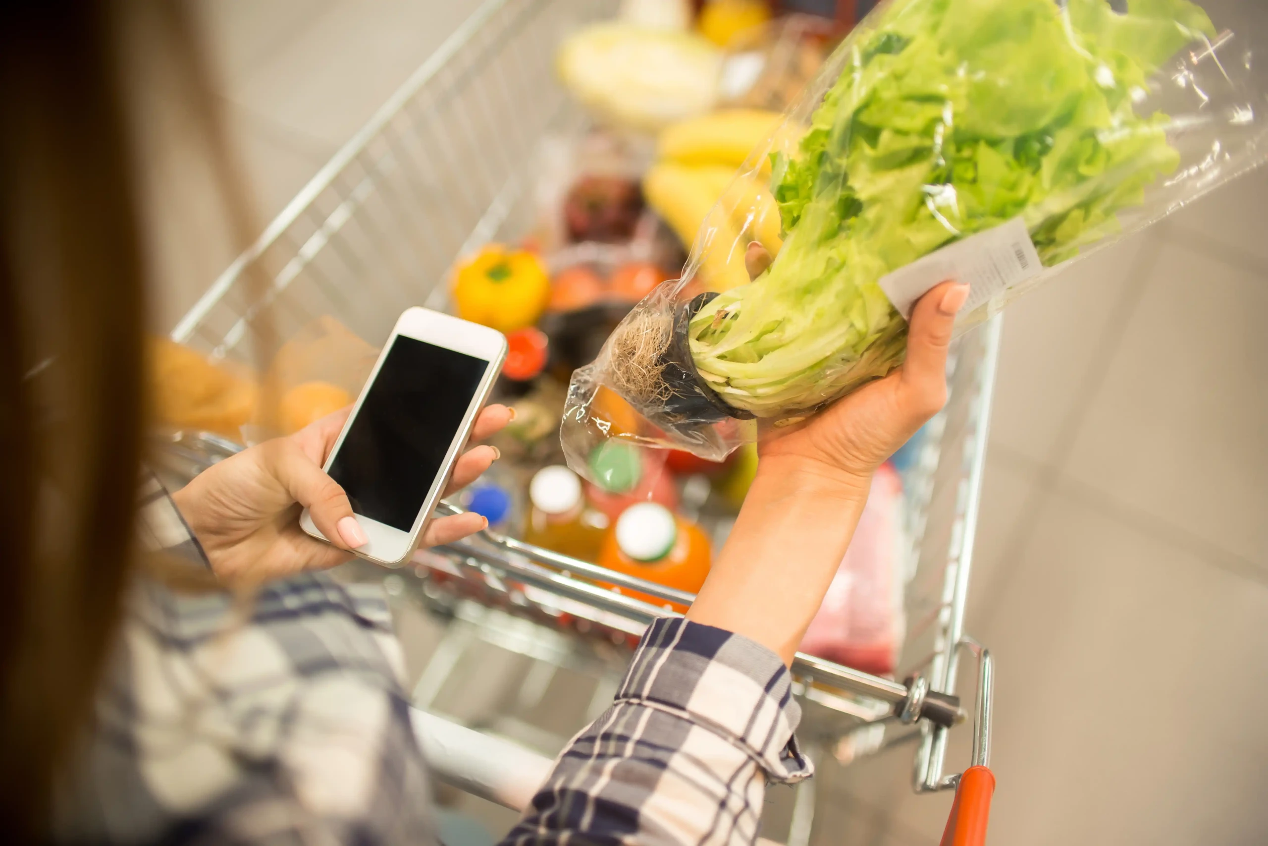 aplikacja mój lewiatan